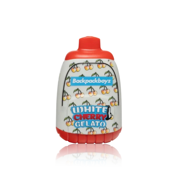 BackpacBoyzMiniDisposable2